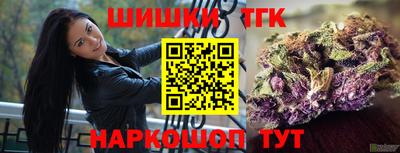 мдпв Заводоуковск