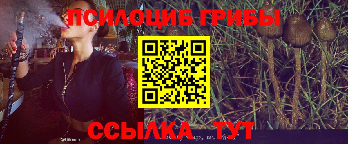 Галлюциногенные грибы GOLDEN TEACHER  Вход с VPN  Галлюциногенные грибы GOLDEN TEACHER  Минеральные Воды 